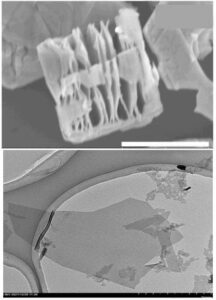Nb4C3Tx Phase MXène Poudre SEM