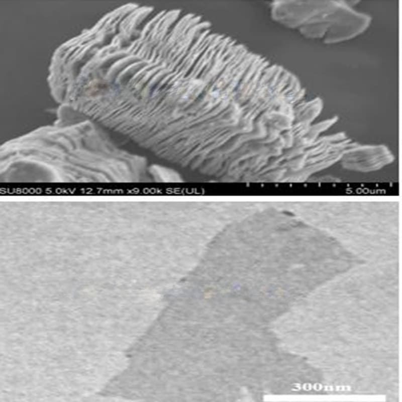 TiNbCTx MXen-Phasen-Pulver SEM