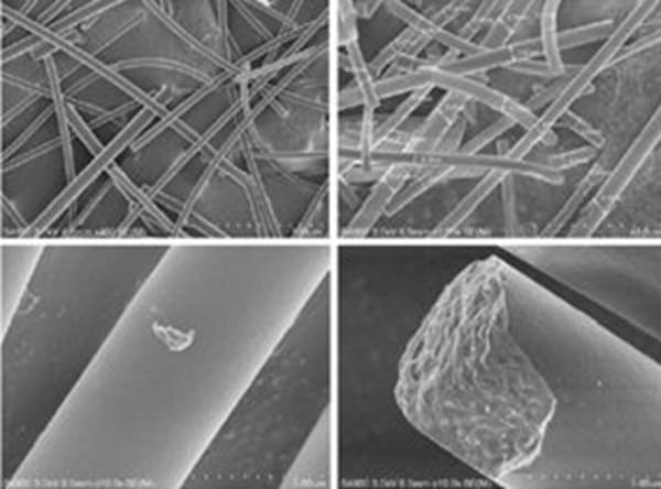 needle or fibrous alumnia powder SEM