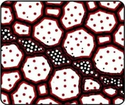 Dry-pressed Ceramic Cooling Rate