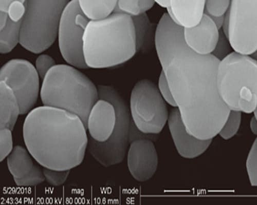Near spherical alumina powder SEM