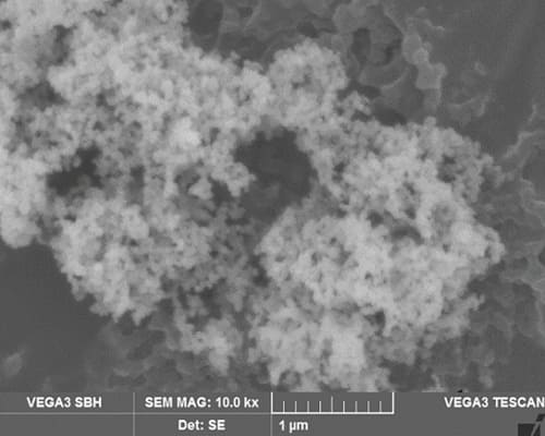 Silicon Carbide Nanopowder SEM