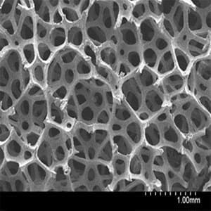 3D Graphene Foam SEM