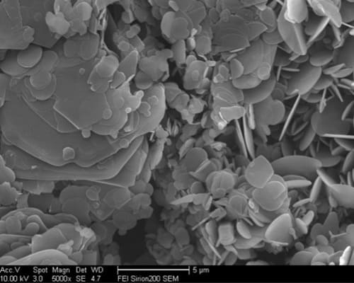 Boron Nitride Modified Platelet Powder SEM HM
