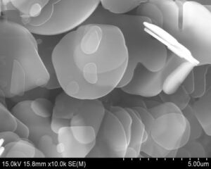 Boron Nitride Platelet Powder